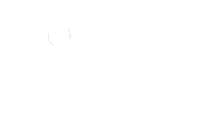 IDM