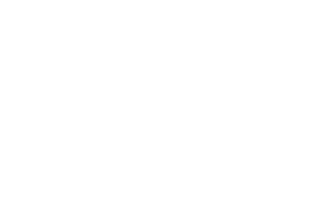 MEA